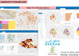 Insights for ArcGIS